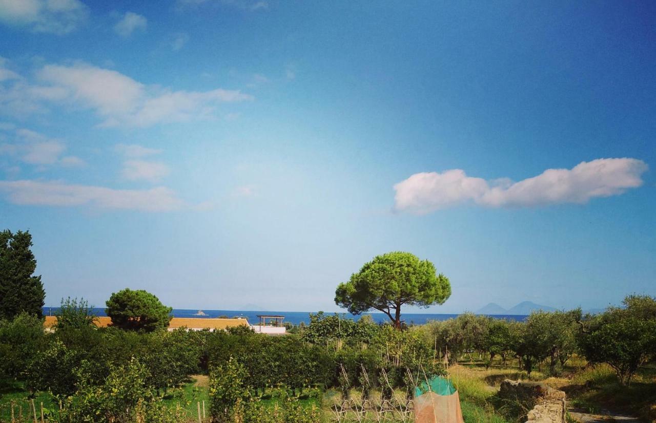 Villa Agriturismo Aiolia - Panorama Eolie Mongiove Exterior foto