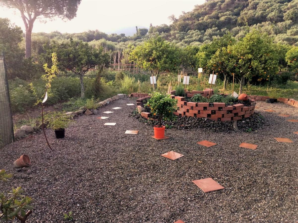 Villa Agriturismo Aiolia - Panorama Eolie Mongiove Exterior foto